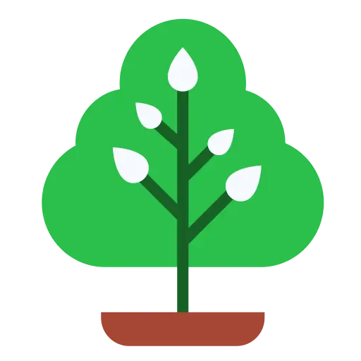 🌿 كل زاوية… خضرة وأناقة لا تفنى